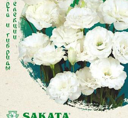 Эустома (лизиантус) Эхо белая F1