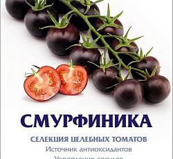 Томат Смурфиника