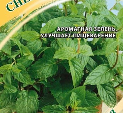 Мята Снежана