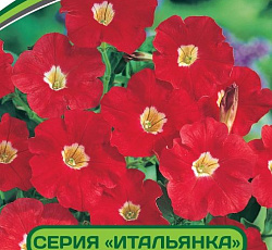 Петуния Итальянка Кларетта F1 многоцветковая каскадная