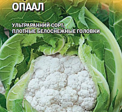 Капуста цветная Опаал