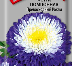 Астра Помпонная Превосходный Ракли