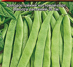 Фасоль овощная Московская белая зеленостручная 556