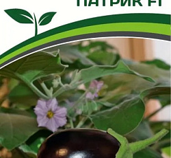 Баклажан Патрик F1