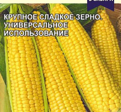 Кукуруза Сластена (сахарная)
