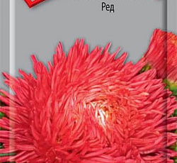 Астра Гремлин Ред