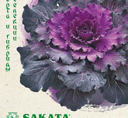 Капуста декоративная Осака красная F1