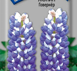 Люпин Говернер