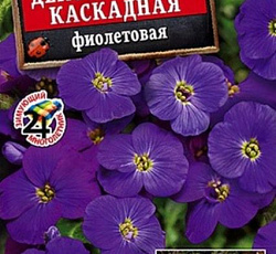 Обриета Декоративная каскадная Фиолетовая