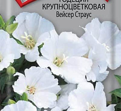 Годеция крупноцветковая Вейсер Страус