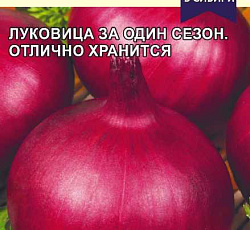 Лук репчатый Брунсвик