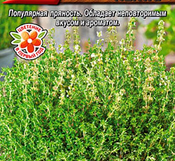 Тимьян (чабрец) Душистый нектар