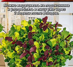 Бэби салат Молодо-зелено (смесь)