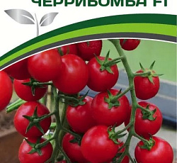 Томат Черрибомба F1