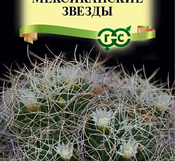 Маммиллярия камптотриха (кактус) Мексиканские звезды