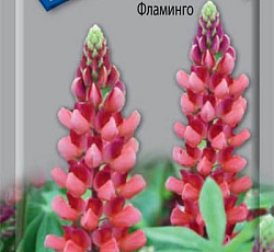 Люпин Фламинго