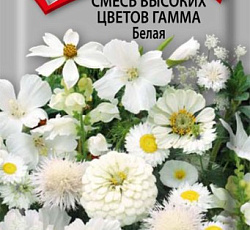 Смесь высоких цветов Гамма Белая