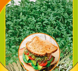 Микрозелень Кресс-салат микс