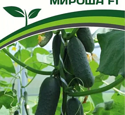 Огурец Мироша F1