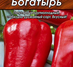 Перец сладкий Богатырь
