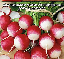 Редис Две недели