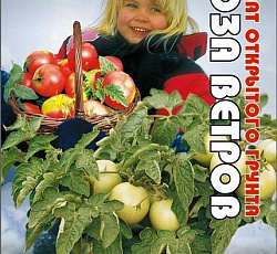 Томат Роза ветров