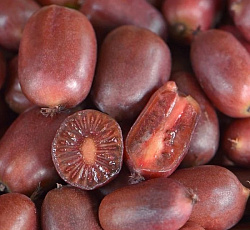 Актинидия (аргута) - Скарлет Септембер Киви (Люкс)