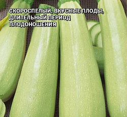 Кабачок Ардендо 174 F1