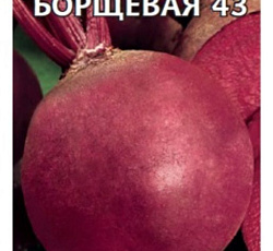 Свекла Кубанская борщевая 43