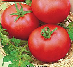 Томат Байкал F1