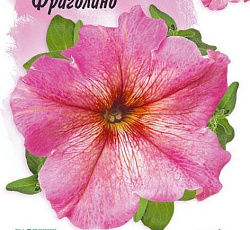 Петуния крупноцветковая Дольче Фраголино F1