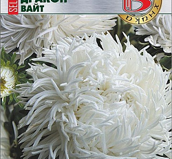 Астра китайская Дракон селект Вайт