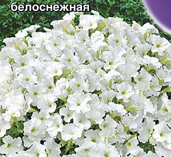 Петуния Джоконда мини Белоснежная F1