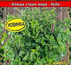 Мята Летняя прохлада (смесь)
