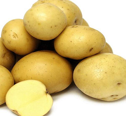 Картофель Лада F1