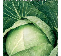 Капуста белокочанная Фаворит F1