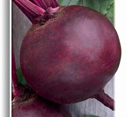 Свекла Хавская