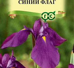 Ирис сибирский Синий флаг