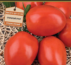Томат Кадет