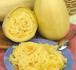 Кабачок Спагетти фемели