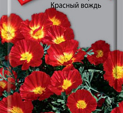 Эшшольция Красный вождь