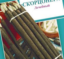 Скорцонера Лечебный