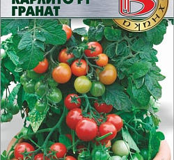 Томат Карлито F1 гранат