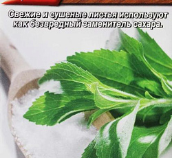 Стевия Сахарок