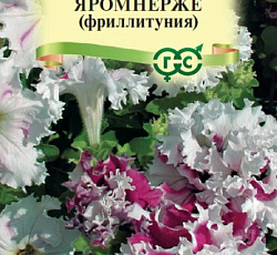 Петуния бахромчатая Яромнерже (фриллитуния)