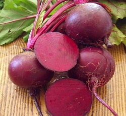 Свекла Детройт