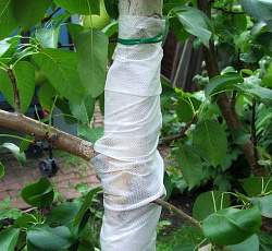 Бинт садовый (0,08х15м)