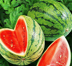 Арбуз Пекинская радость Деликатесная F1