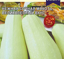 Кабачок Фаршировочный