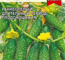 Огурец Хабар